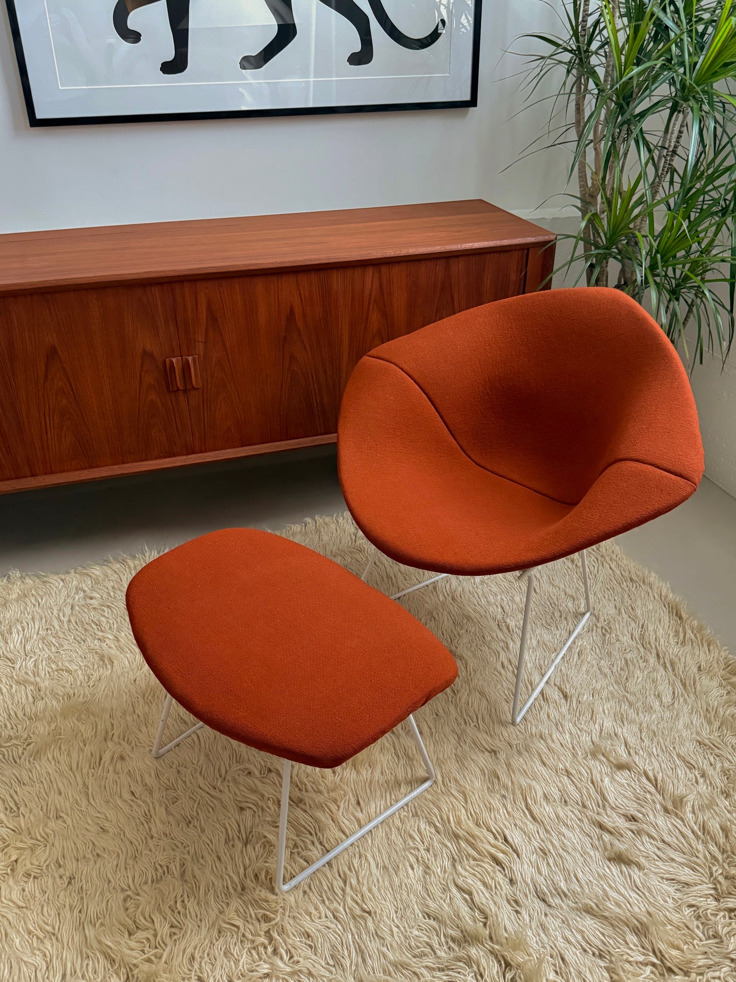 Diamond chairs by Harry Bertoia for Knoll International
