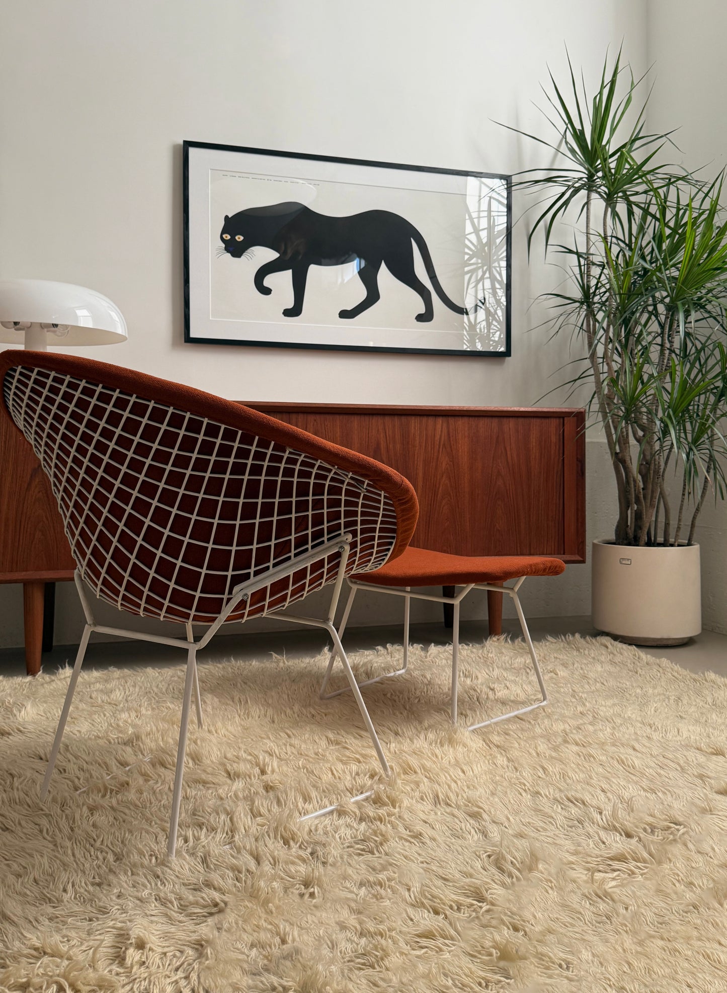 Diamond chairs by Harry Bertoia for Knoll International