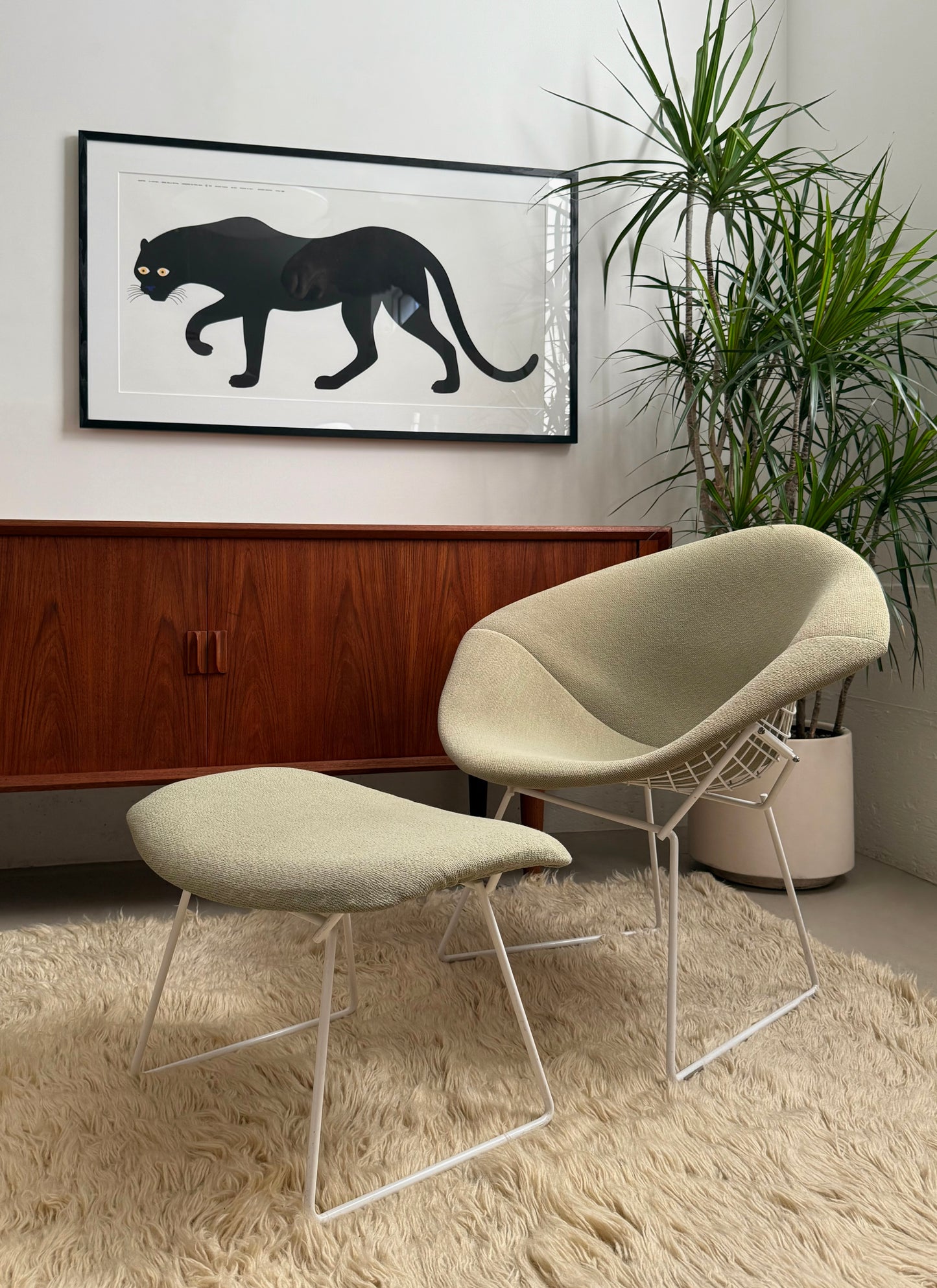 Diamond chairs by Harry Bertoia for Knoll International