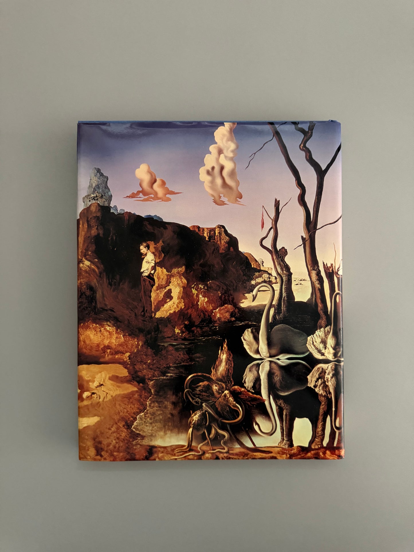 Salvador Dali Exhibition Catalog