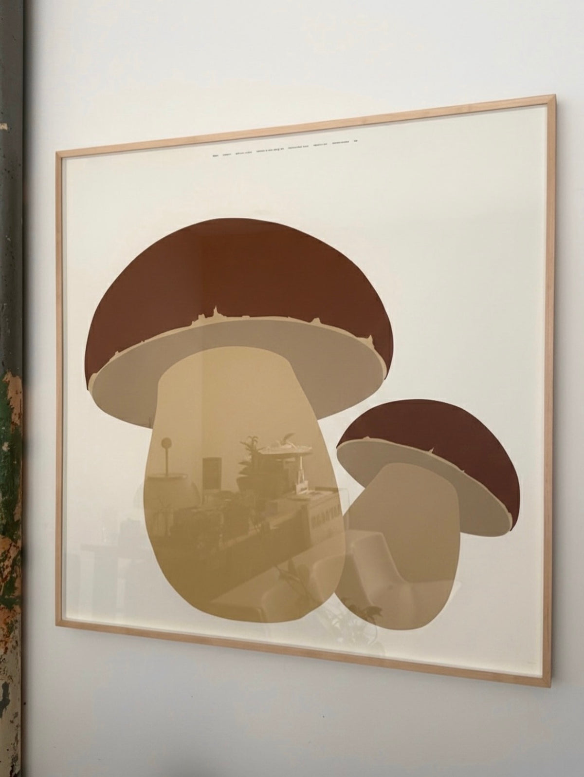 Funghetti print by Enzo Mari