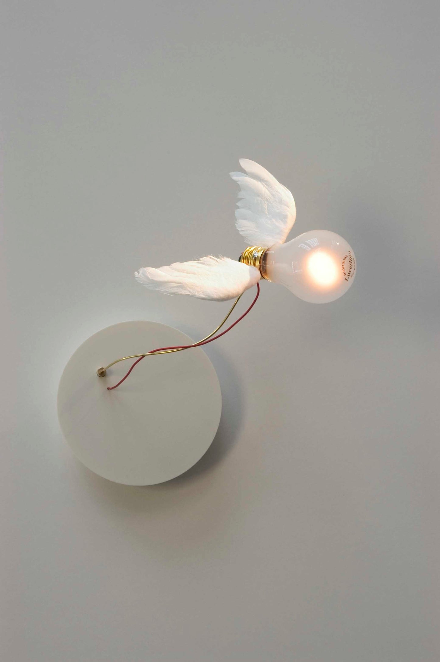 Lucellino wall lamp