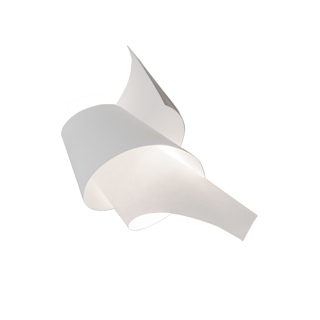 Oop's 2 Wall Lamp