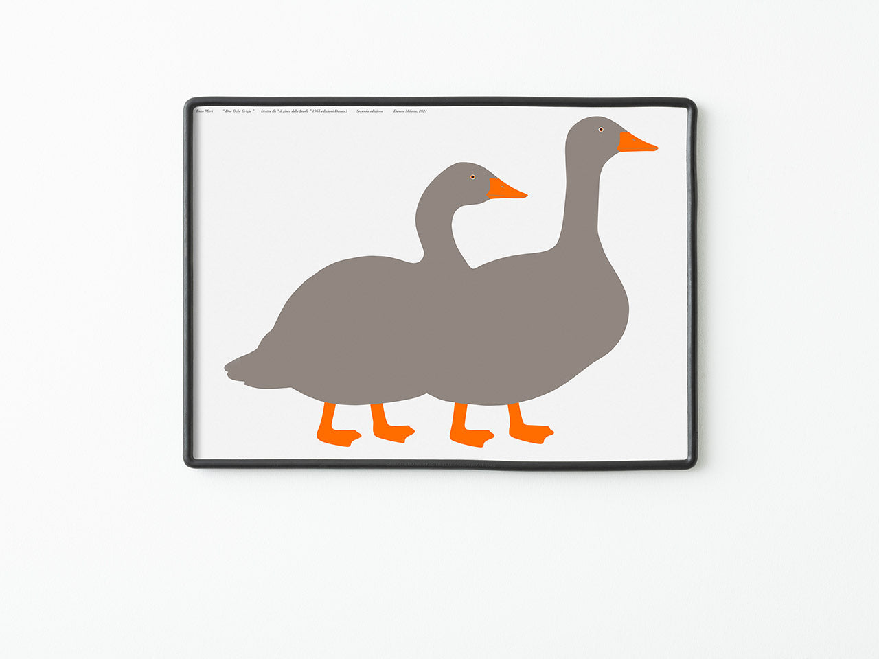 Due Oche Grigie print by Enzo Mari