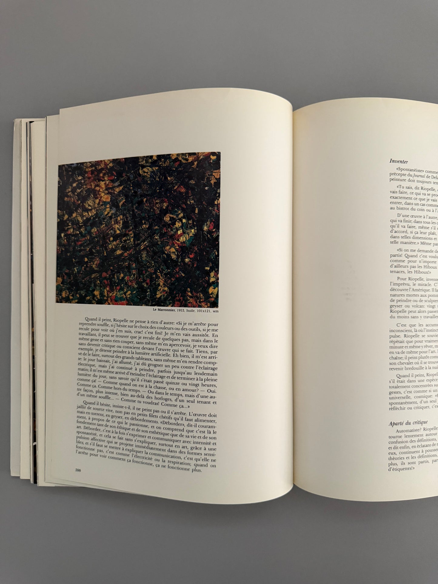 Riopelle: Chasseur D'images