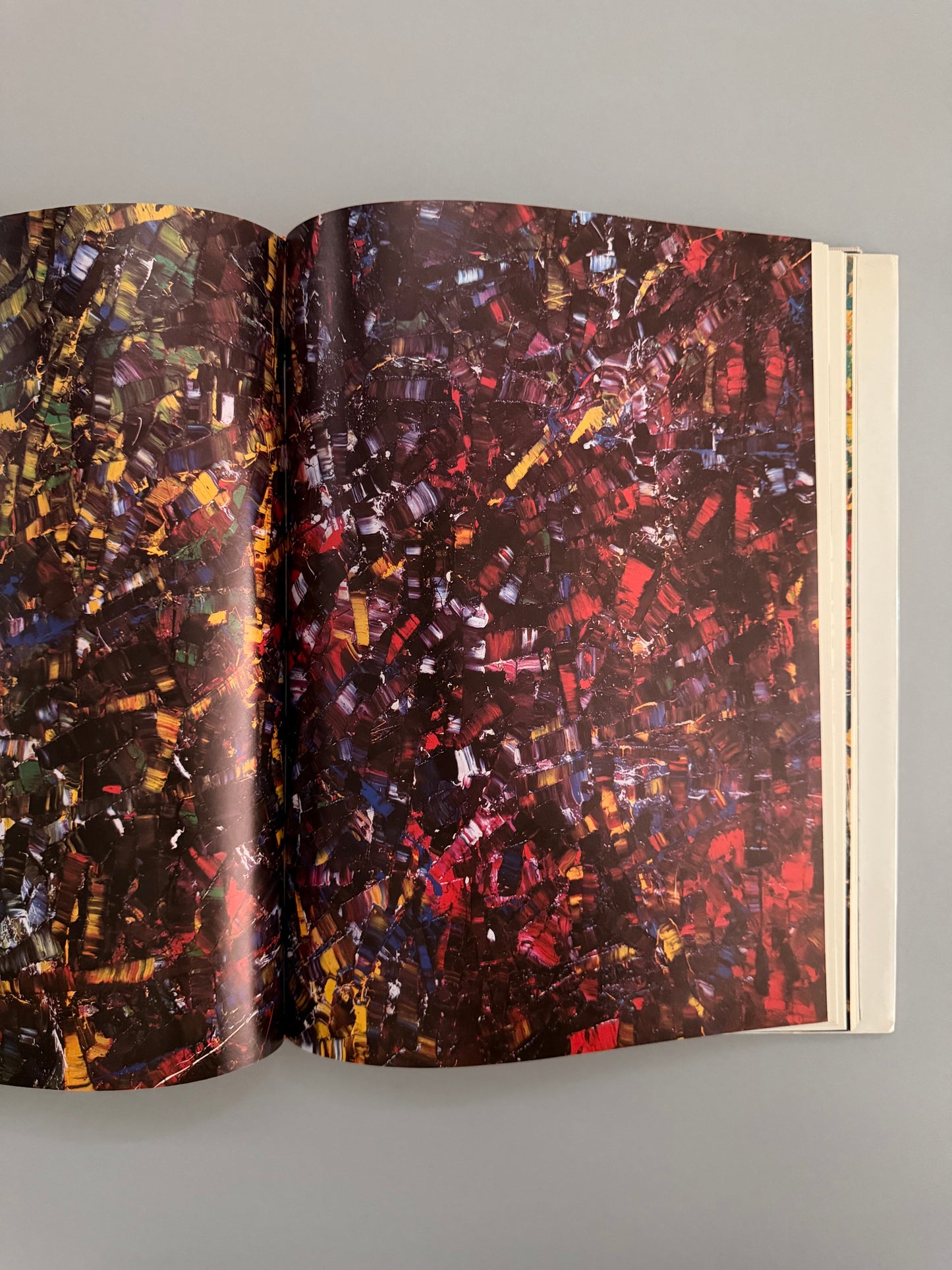 Riopelle: Chasseur D'images