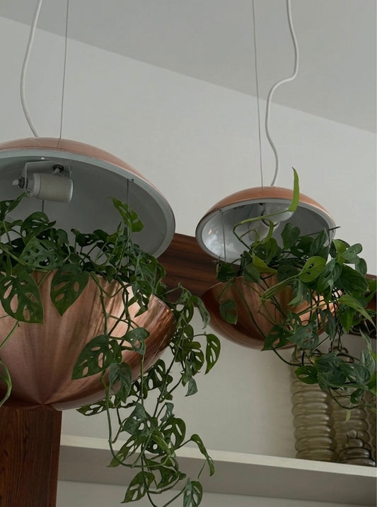 Hanging planter lamps by Poul Cadovius for Lyskaer