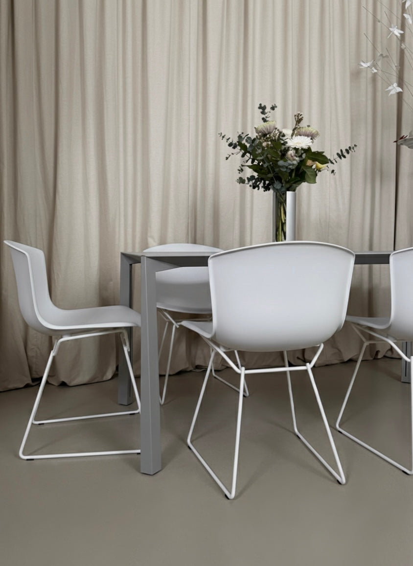 Set of 4 molded shell chairs by Harry Bertoia for Knoll International