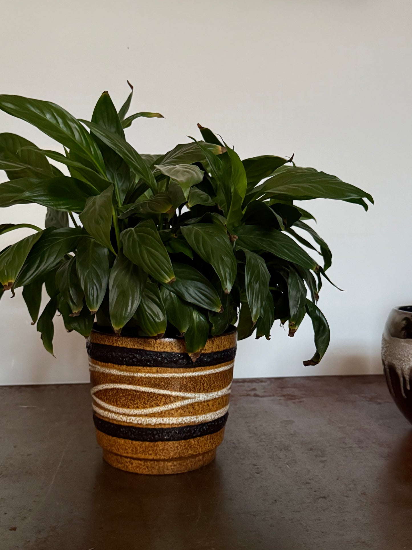Ceramic plant pot by Scheurich - West Germany