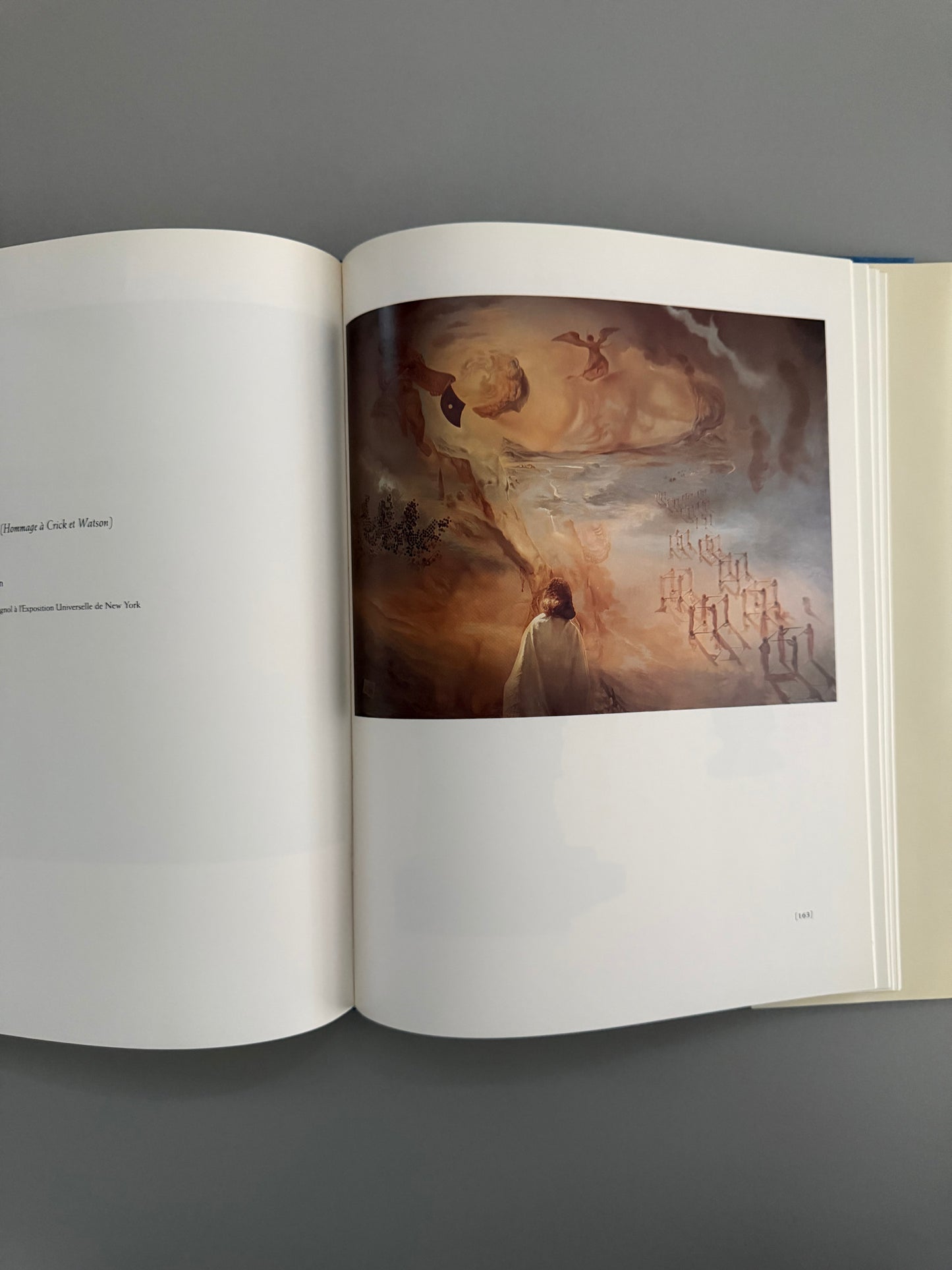 Salvador Dali Exhibition Catalog