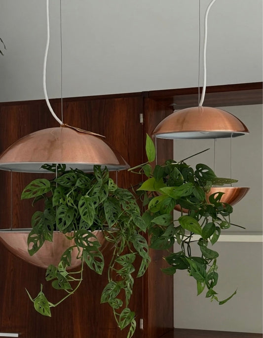 Hanging planter lamps by Poul Cadovius for Lyskaer
