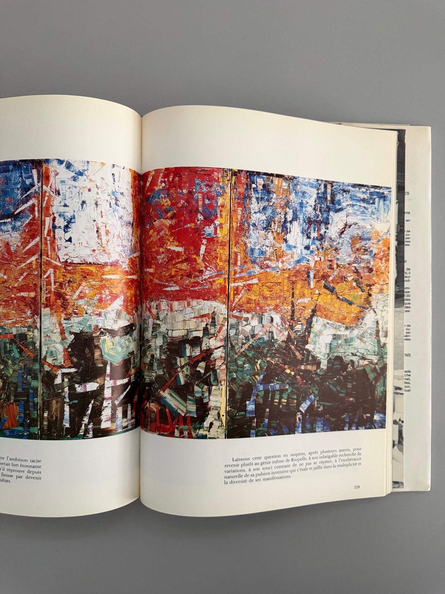 Riopelle: Chasseur D'images