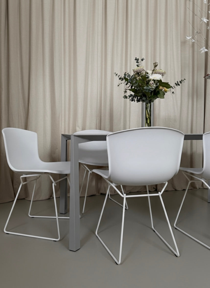 Set of 4 molded shell chairs by Harry Bertoia for Knoll International