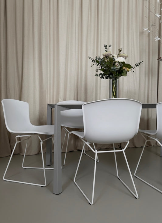 Set of 4 molded shell chairs by Harry Bertoia for Knoll International