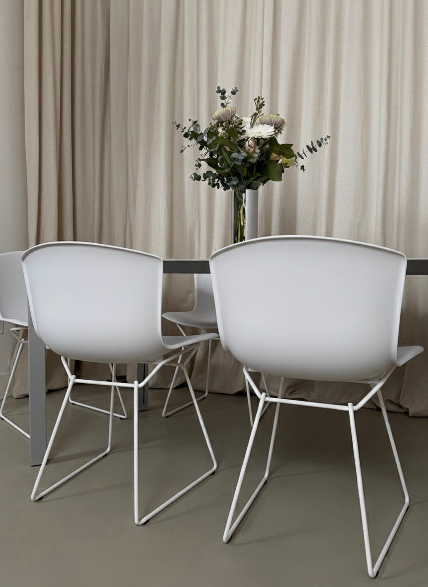 Set of 4 molded shell chairs by Harry Bertoia for Knoll International