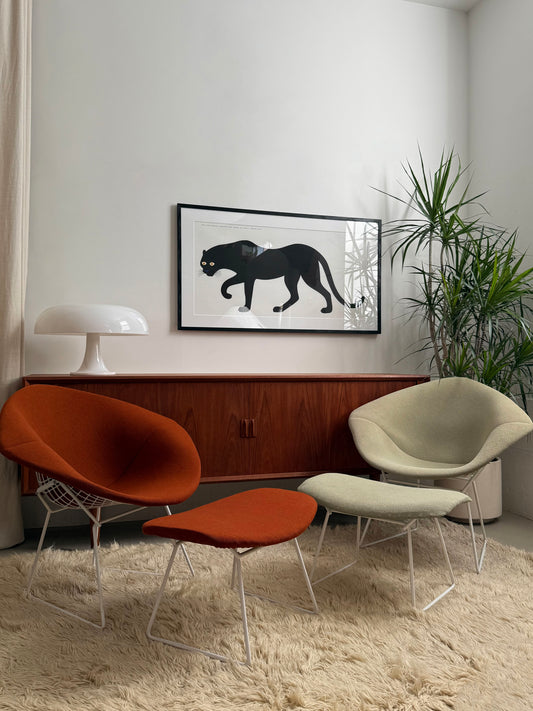 Diamond chairs by Harry Bertoia for Knoll International