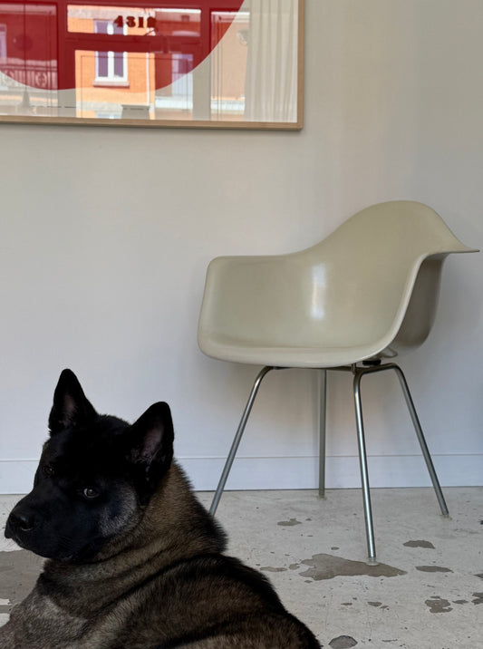 DAX fibreglass dining chair by Charles & Ray Eames for Herman Miller