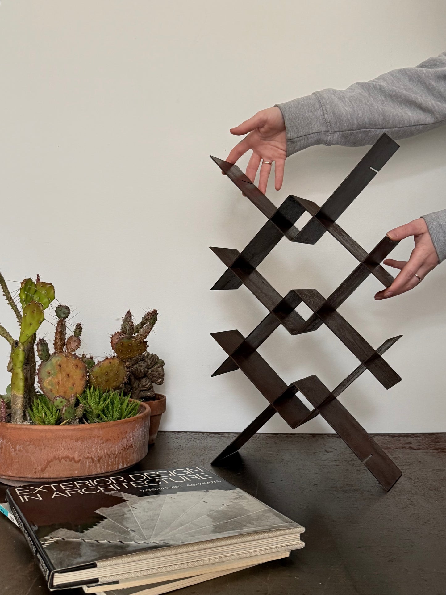 Struttura Continua by Bruno Munari