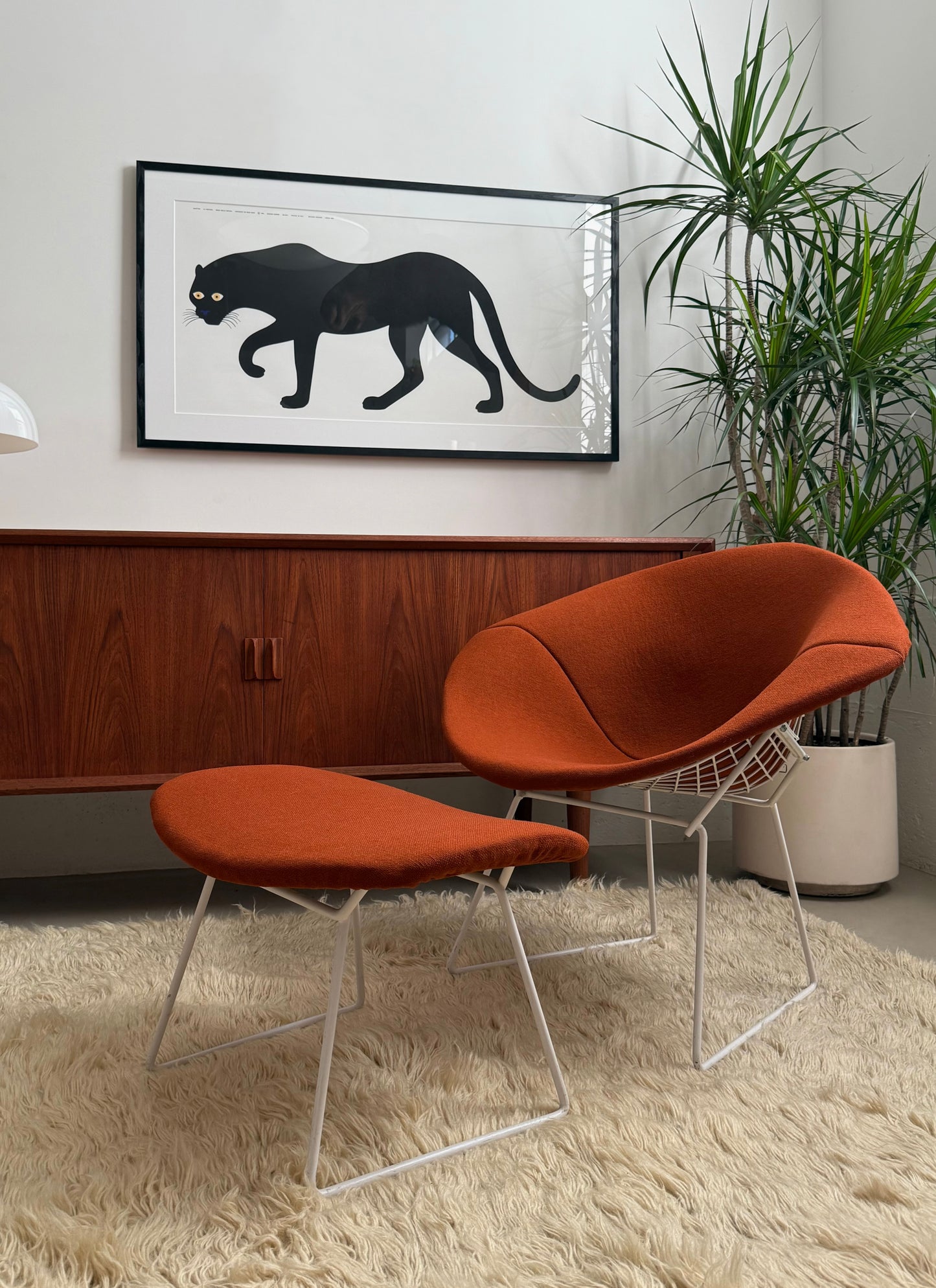 Diamond chairs by Harry Bertoia for Knoll International