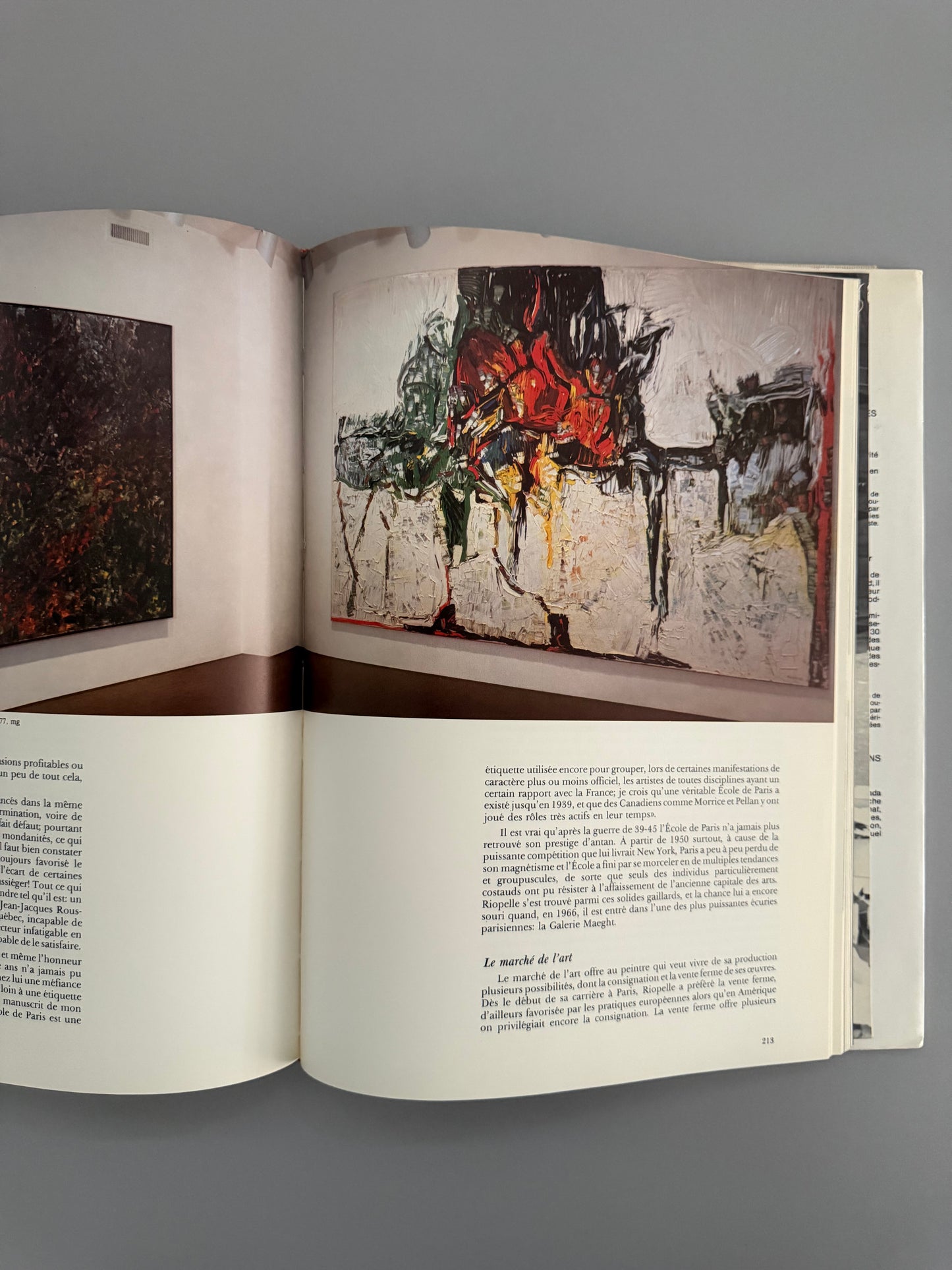 Riopelle: Chasseur D'images